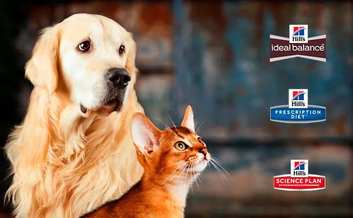 hills hundefor og kattefor