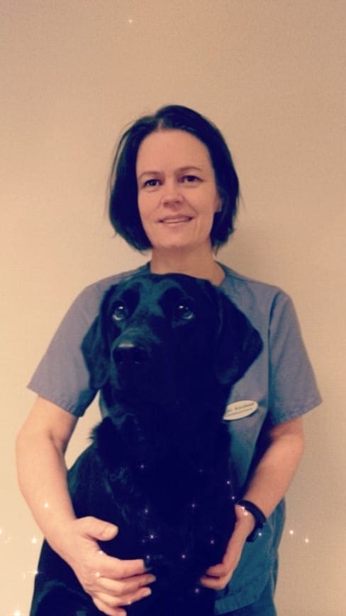Mari veterinær